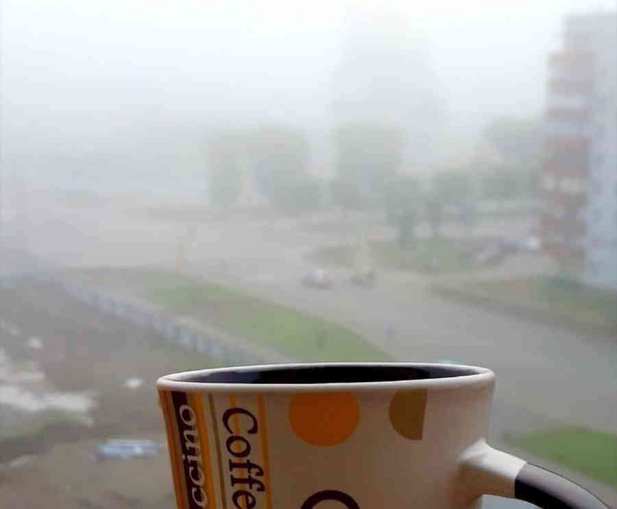 Фото галереи