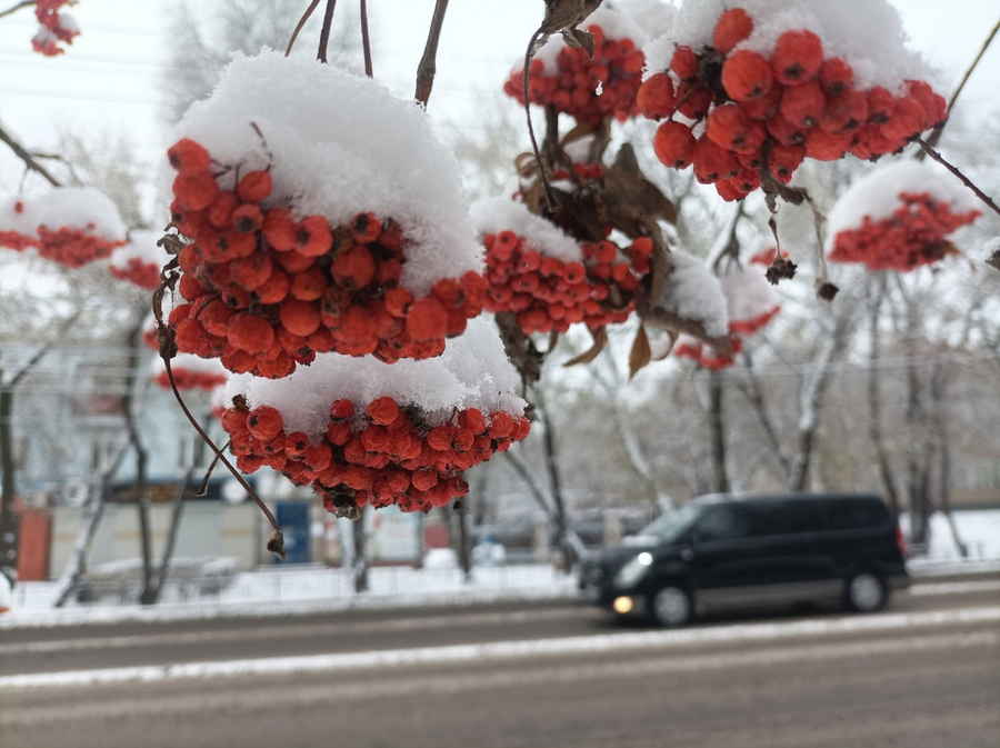 Фото галереи