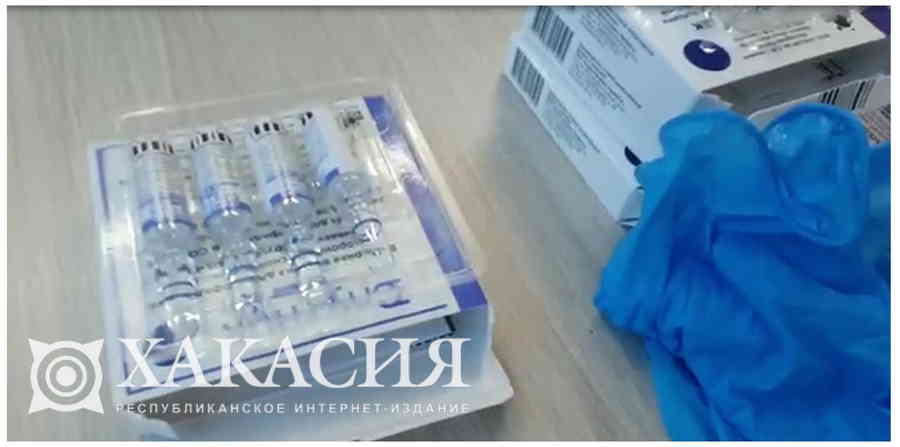 Фото галереи