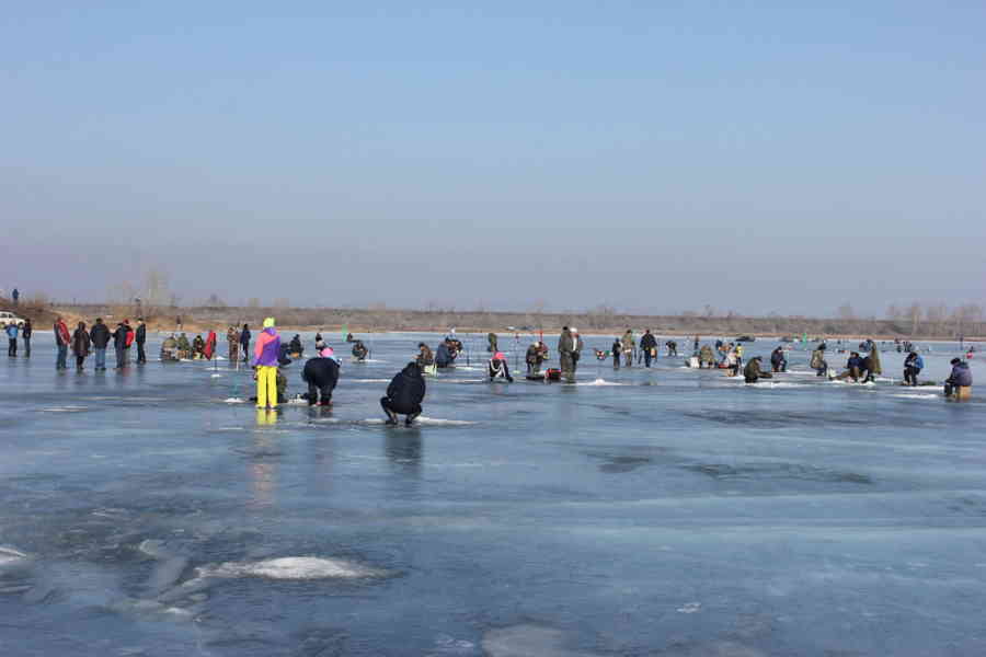 Фото галереи