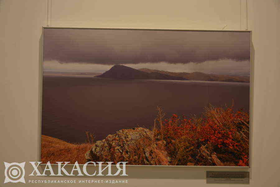 Фото галереи