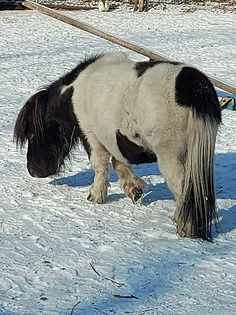 Фото галереи