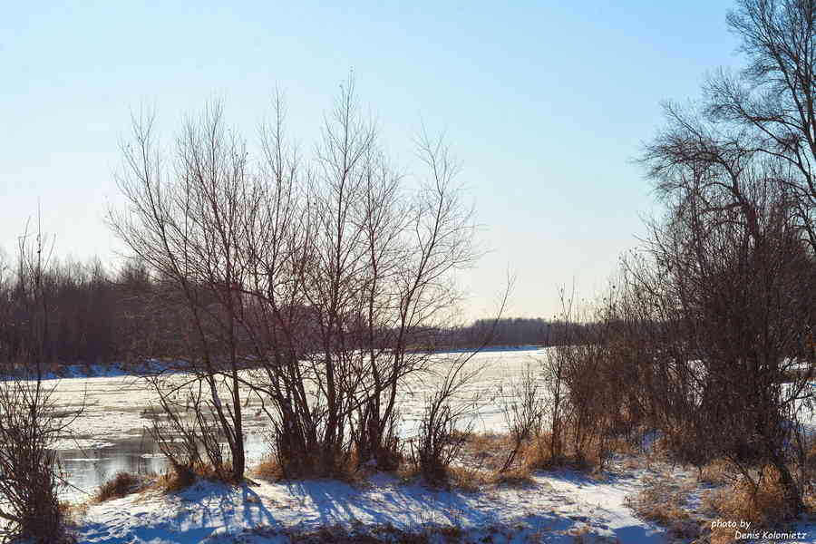 Фото галереи