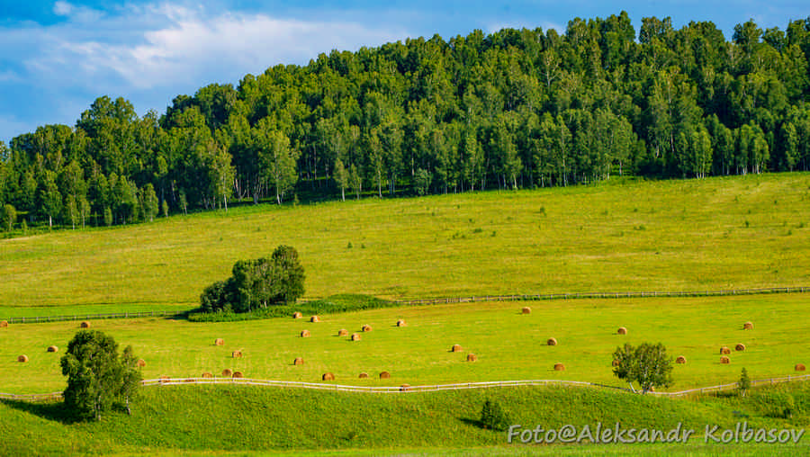 Фото галереи