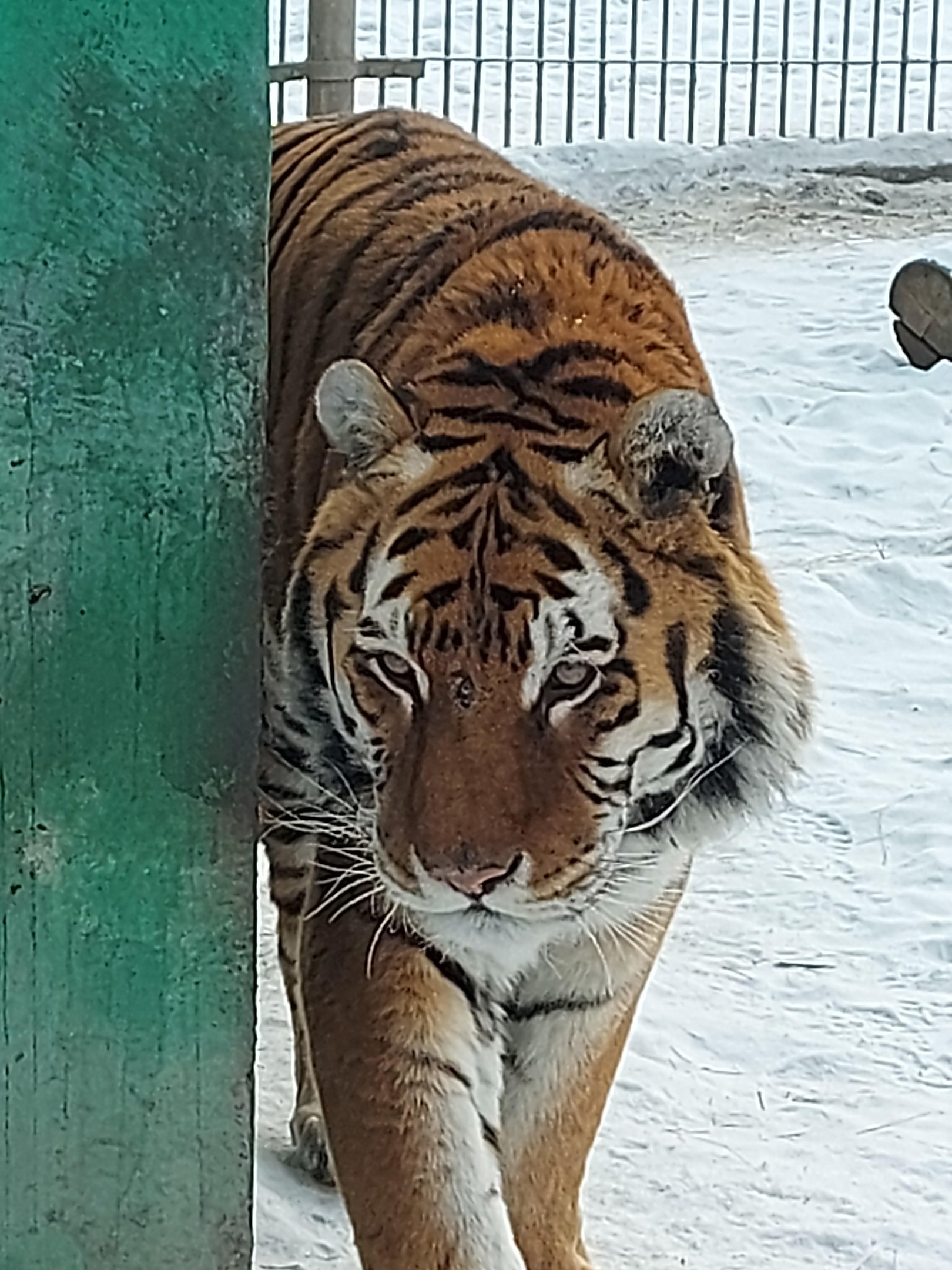 Фото галереи