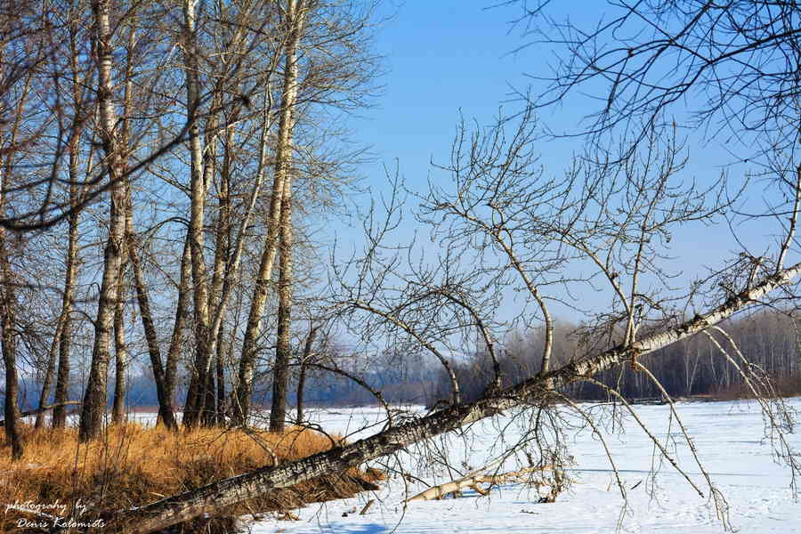 Фото галереи