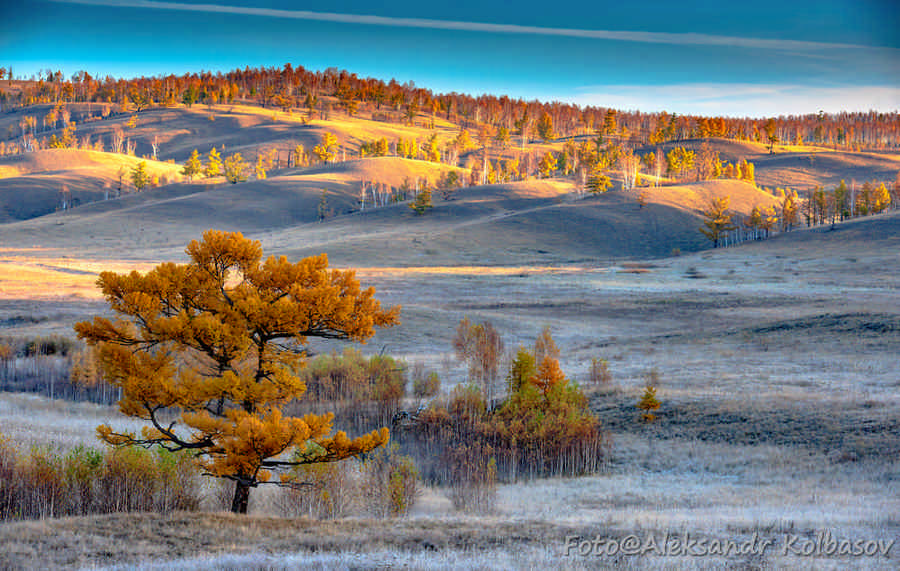 Фото галереи