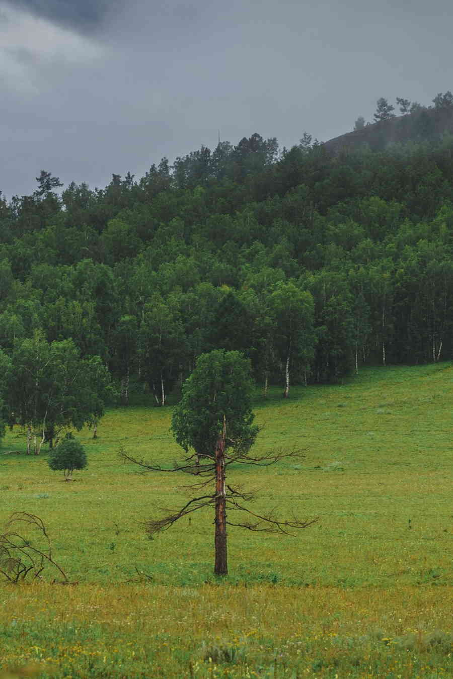 Фото галереи
