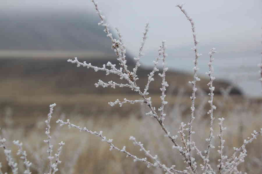 Фото галереи