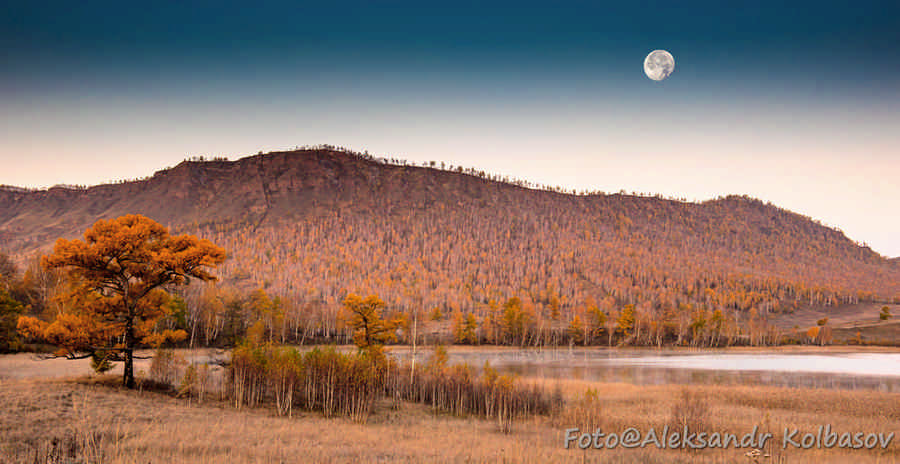 Фото галереи