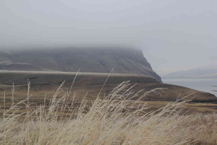 Фото галереи