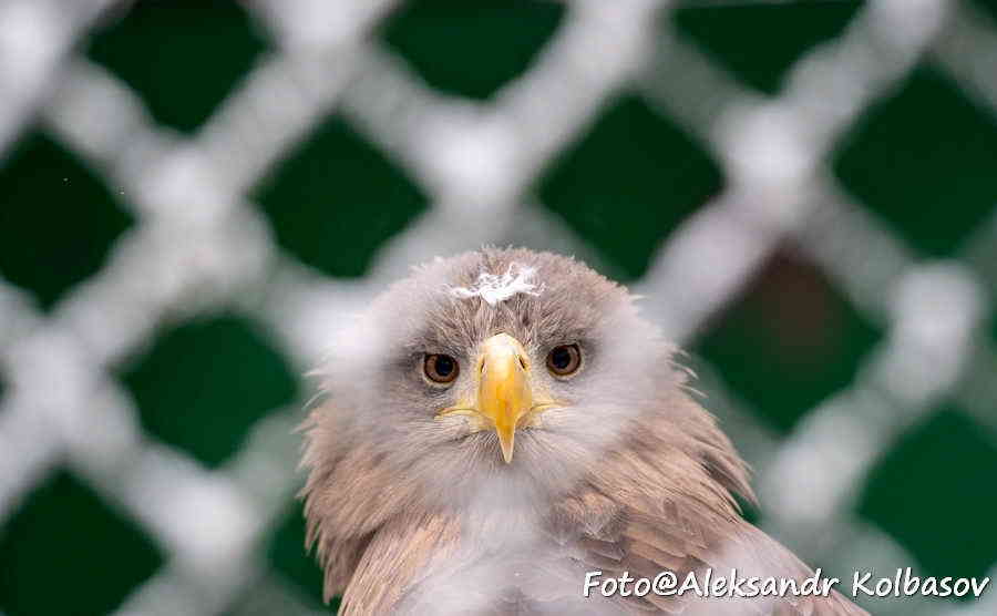 Фото галереи