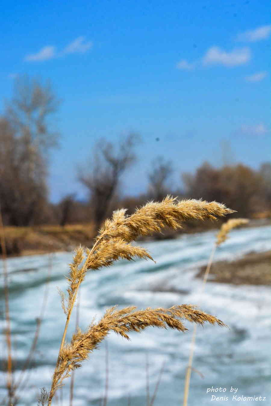 Фото галереи