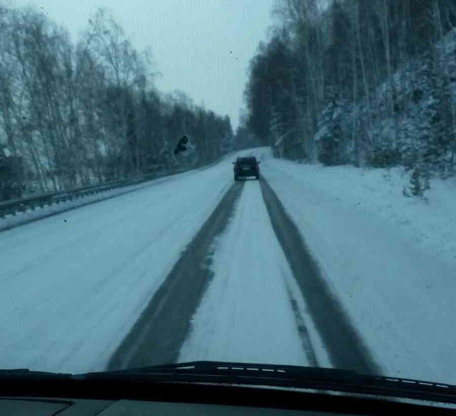 Фото галереи