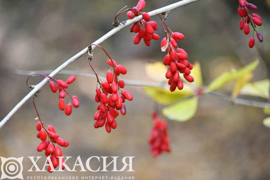 Фото галереи