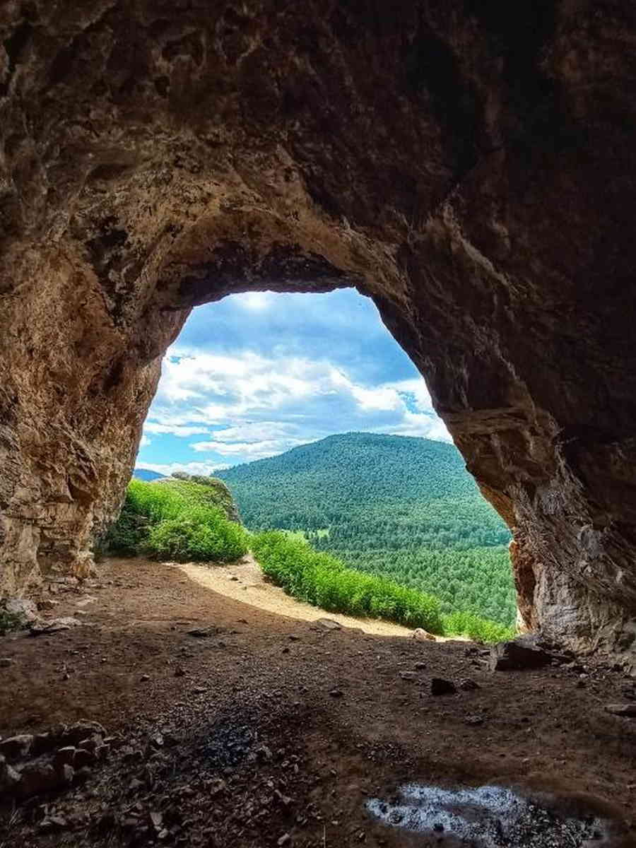 Фото галереи