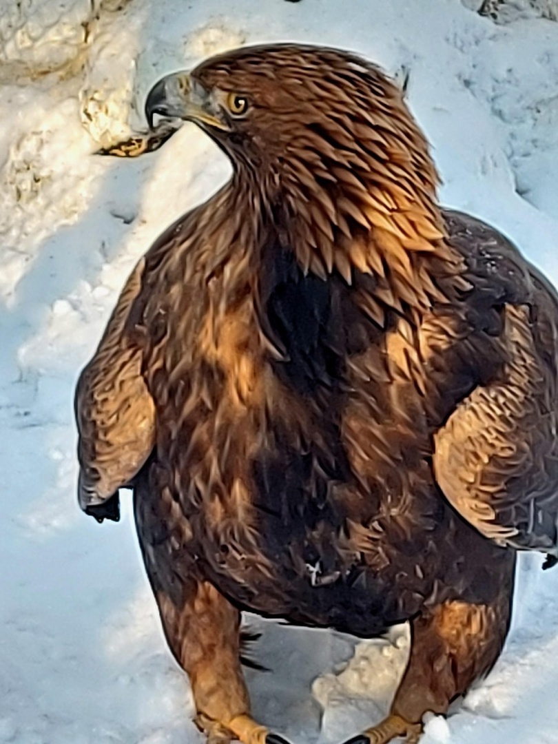 Фото галереи