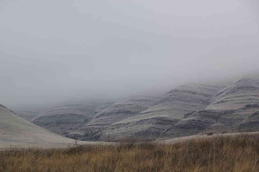 Фото галереи