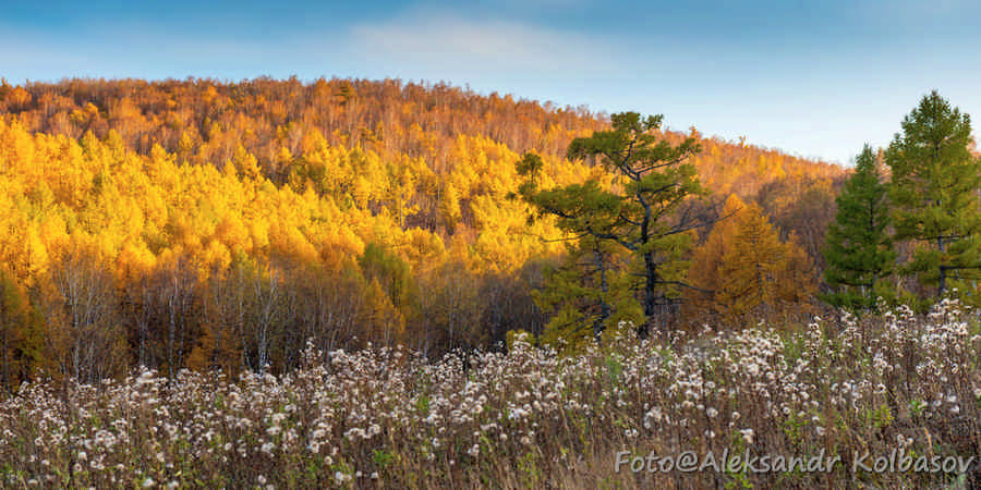 Фото галереи