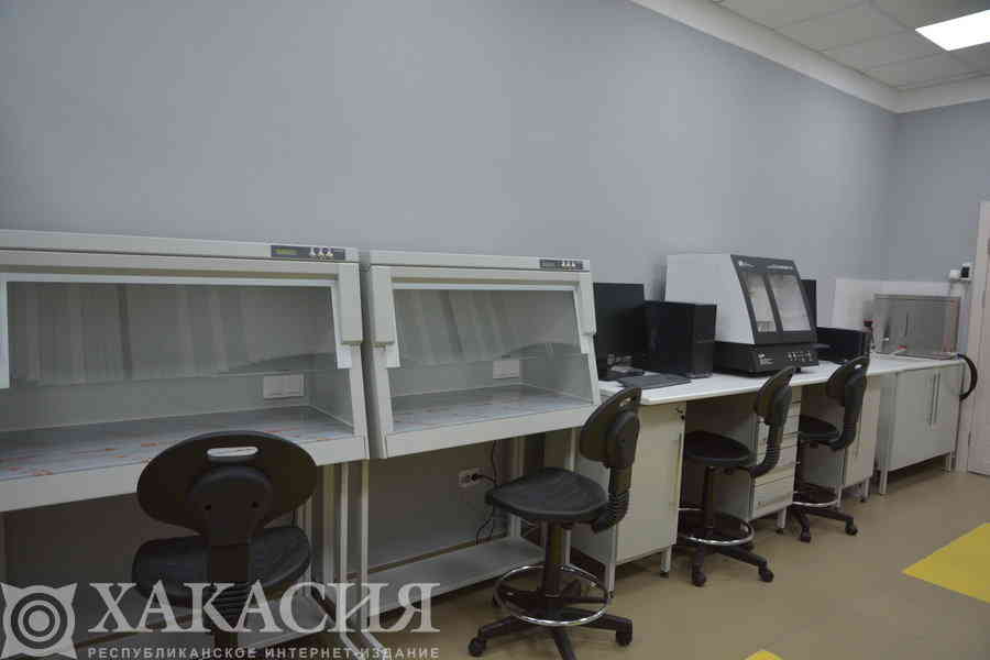 Фото галереи