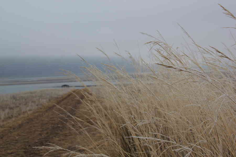 Фото галереи