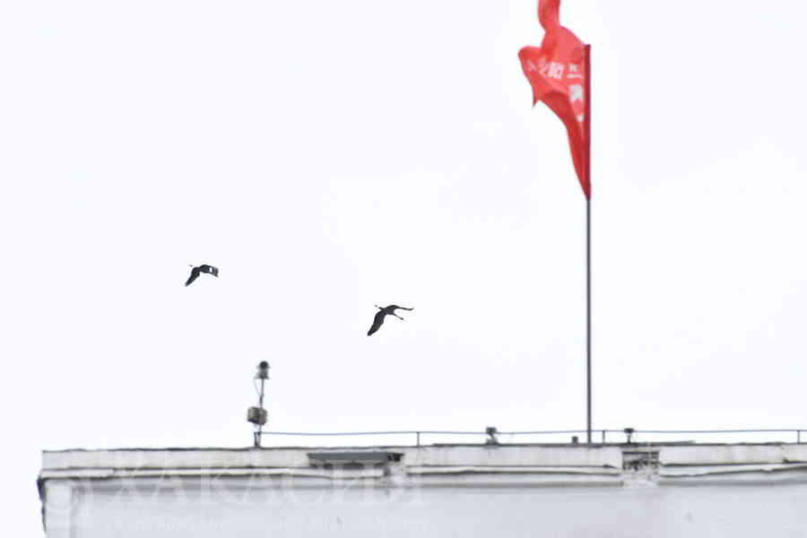 Фото галереи