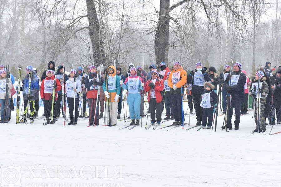 Фото галереи