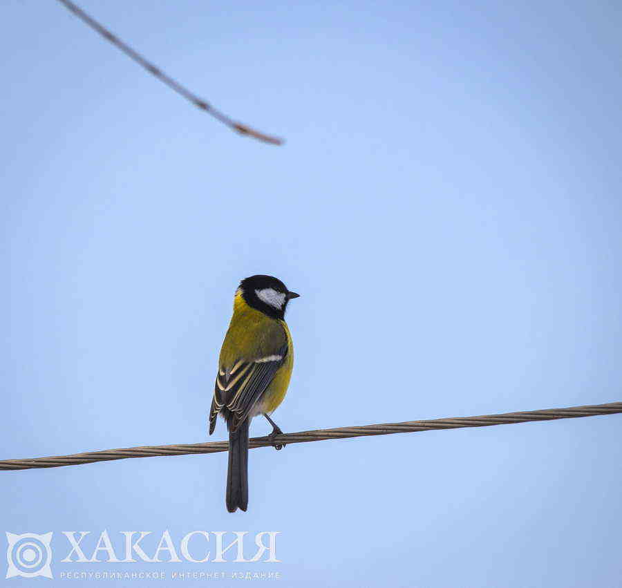 Фото галереи