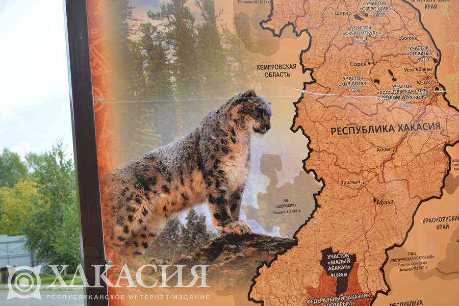 Фото галереи