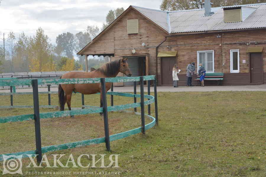 Фото галереи