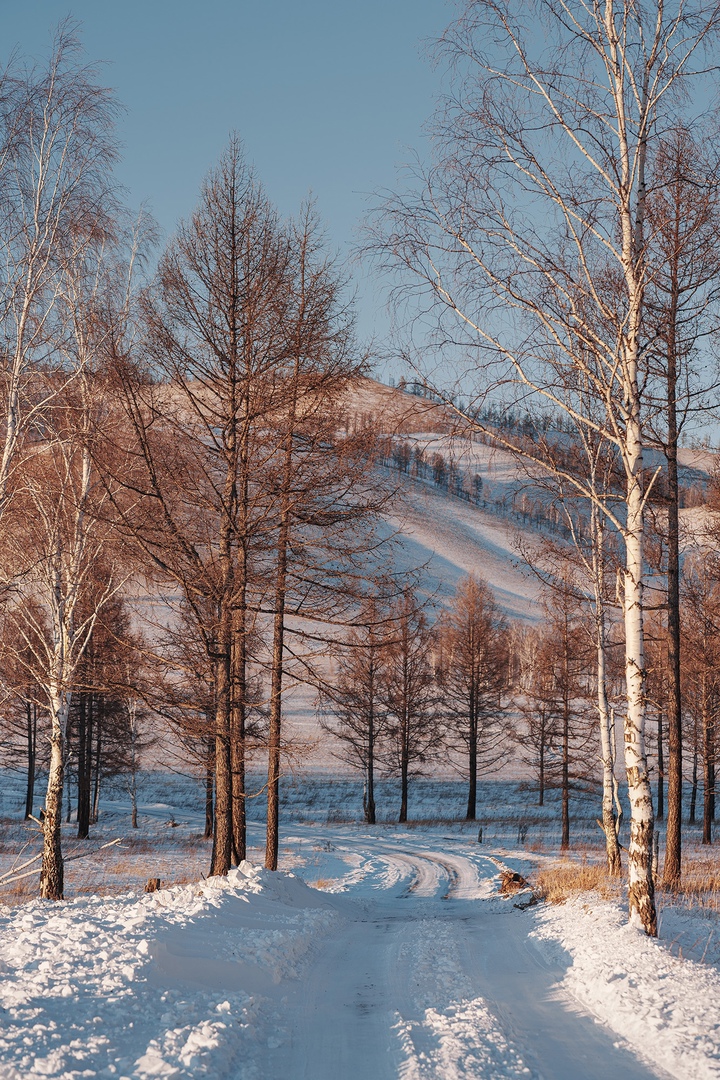 Фото галереи