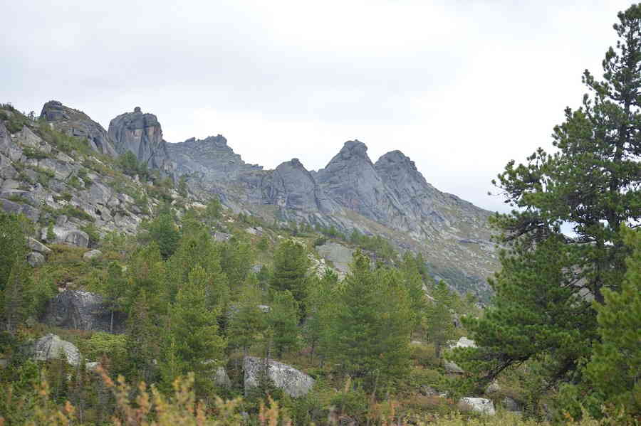 Фото галереи