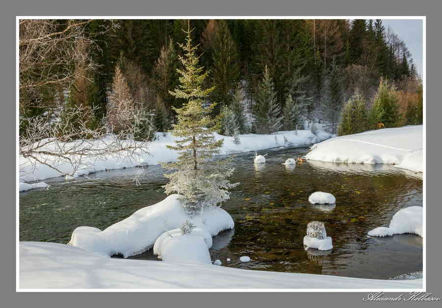 Фото галереи