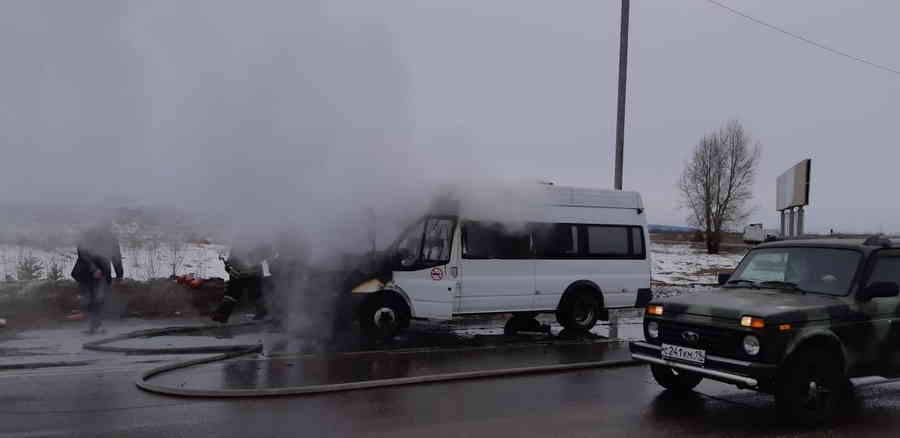 Фото галереи