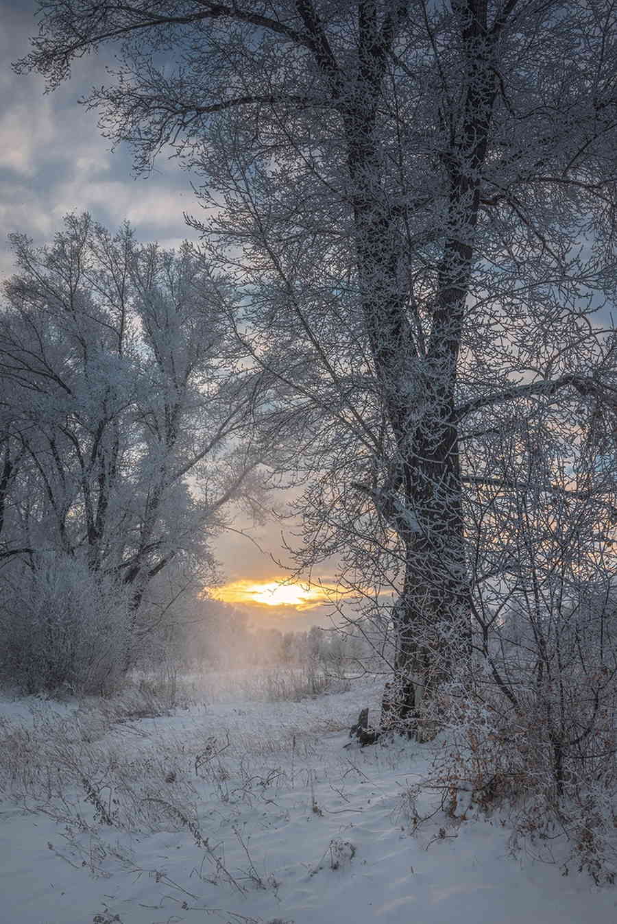 Фото галереи