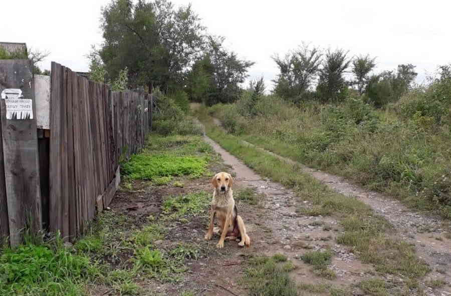 Фото галереи