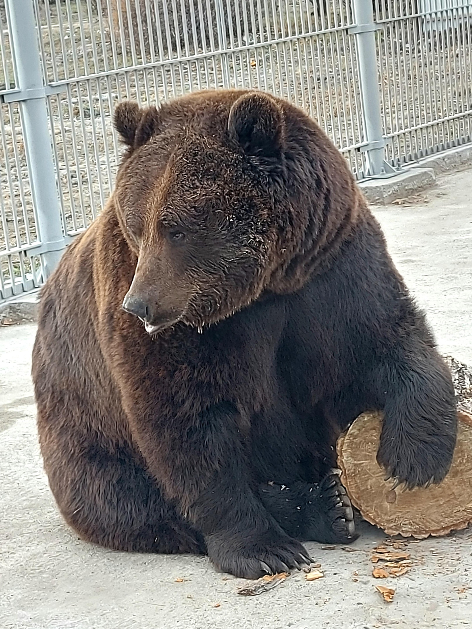 Фото галереи