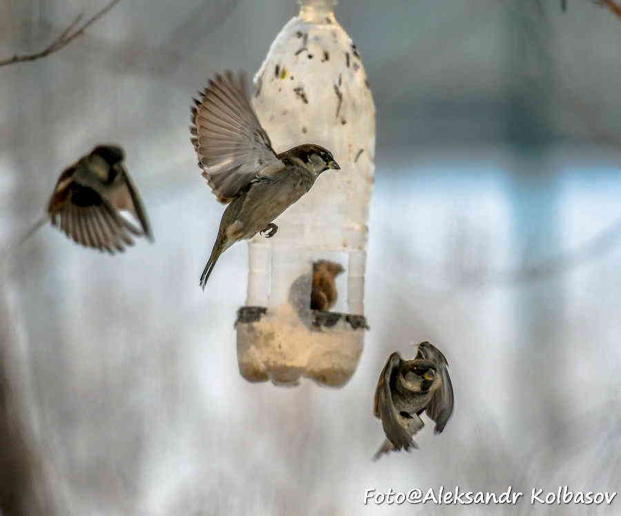 Фото галереи
