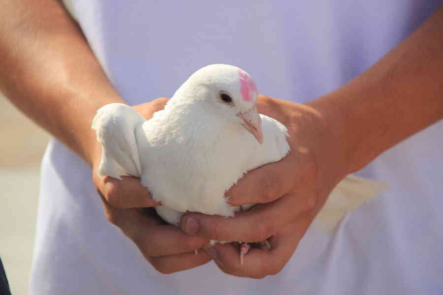 Фото галереи