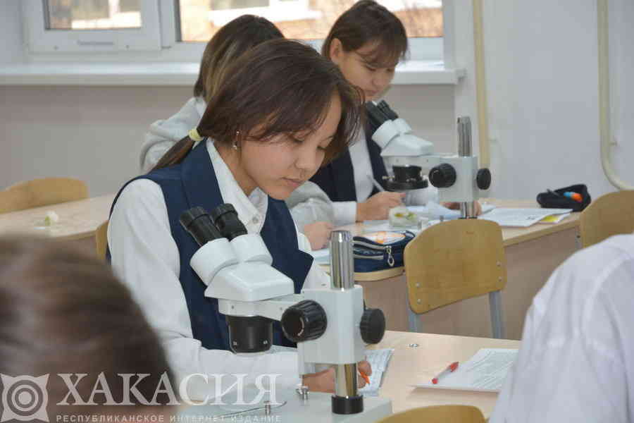 Фото галереи