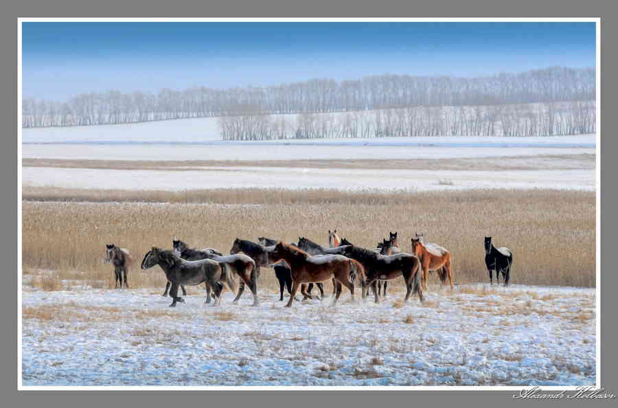 Фото галереи