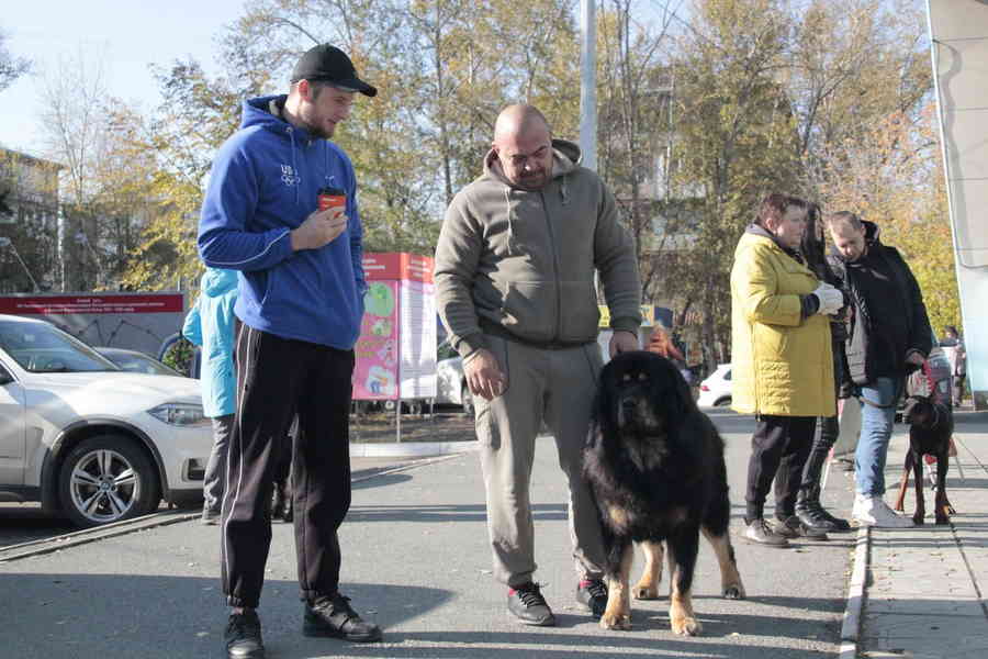 Фото галереи