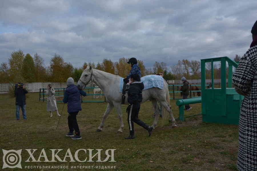 Фото галереи