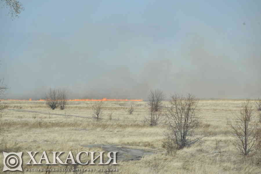 Фото галереи