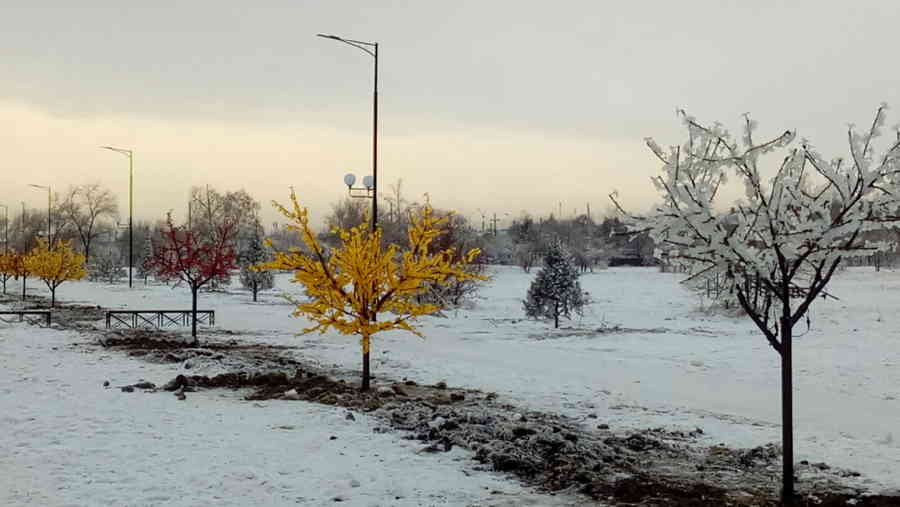 Фото галереи