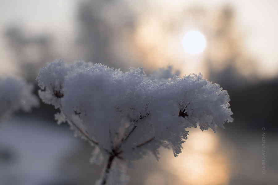 Фото галереи