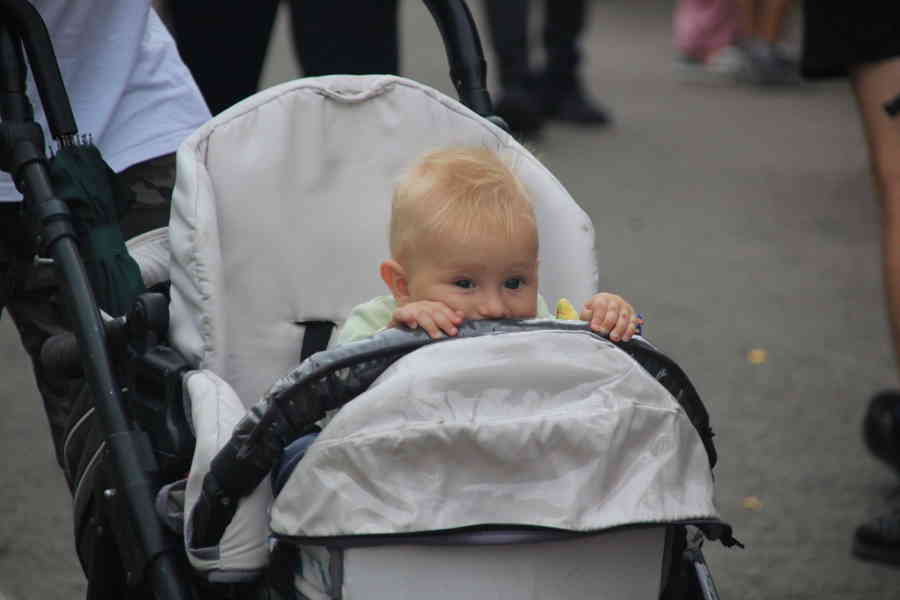 Фото галереи