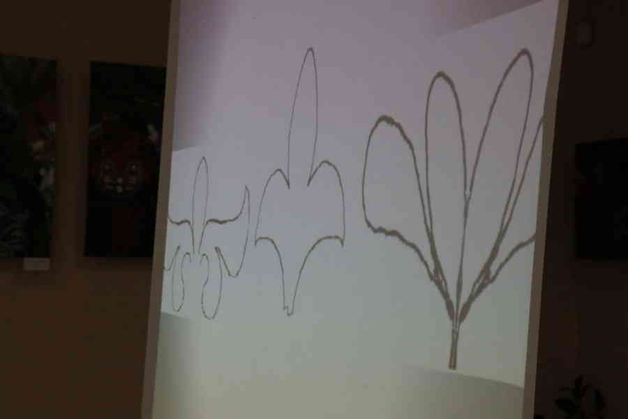 Фото галереи