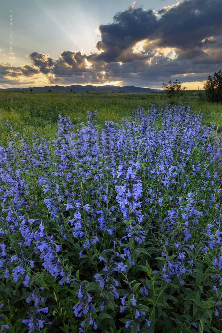 Фото галереи