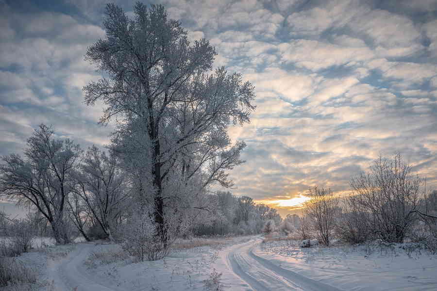 Фото галереи